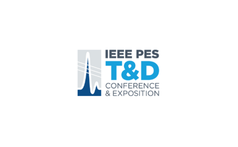 ��������������չ���� IEEE PES T&D